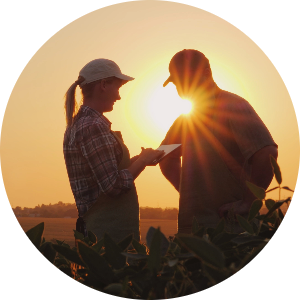 Two farmers stand in a field at sunset